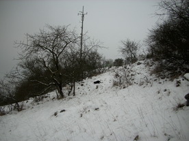 2010-01-15/DSCI5568.JPG