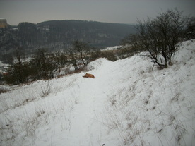 2010-01-15/DSCI5569.JPG