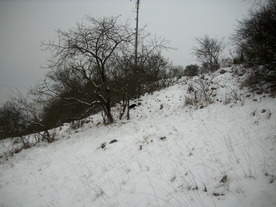 2010-01-15/DSCI5570.JPG