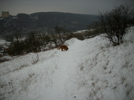 2010-01-15/DSCI5571.JPG