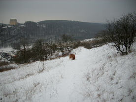 2010-01-15/DSCI5573.JPG