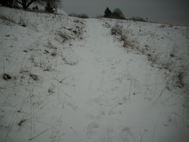 2010-01-15/DSCI5574.JPG