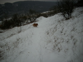 2010-01-15/DSCI5576.JPG