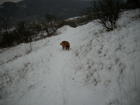 2010-01-15/DSCI5577.JPG