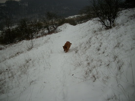 2010-01-15/DSCI5578.JPG