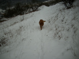 2010-01-15/DSCI5579.JPG