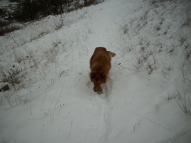2010-01-15/DSCI5580.JPG