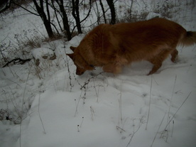 2010-01-15/DSCI5581.JPG