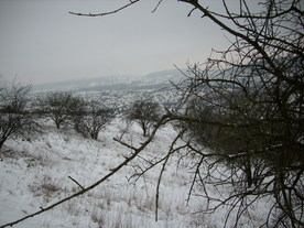 2010-01-15/DSCI5582.JPG