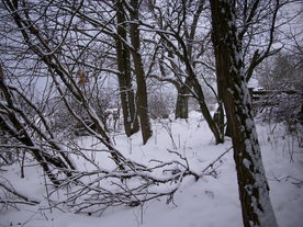 2010-01-24/DSCI5591.JPG