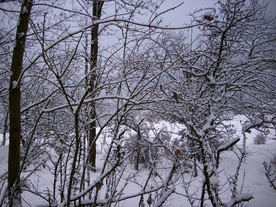 2010-01-24/DSCI5592.JPG