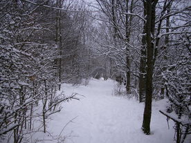 2010-01-24/DSCI5593.JPG