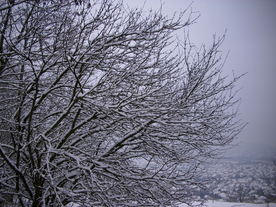 2010-01-24/DSCI5594.JPG