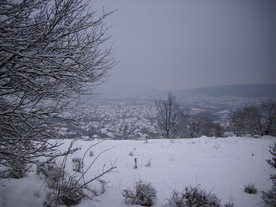 2010-01-24/DSCI5595.JPG