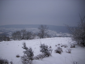 2010-01-24/DSCI5596.JPG