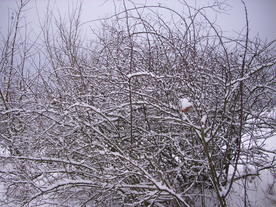 2010-01-24/DSCI5598.JPG