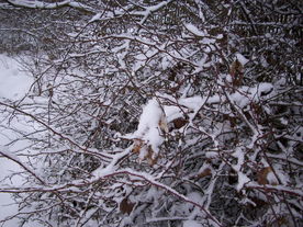 2010-01-24/DSCI5599.JPG