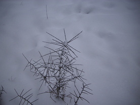 2010-01-24/DSCI5600.JPG