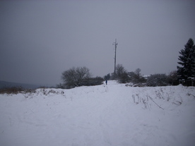 2010-01-24/DSCI5602.JPG