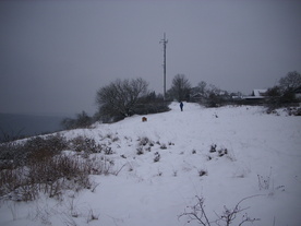 2010-01-24/DSCI5604.JPG