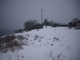 2010-01-24/DSCI5605.JPG