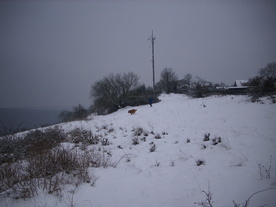 2010-01-24/DSCI5607.JPG