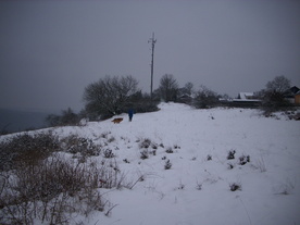 2010-01-24/DSCI5609.JPG