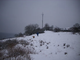 2010-01-24/DSCI5611.JPG