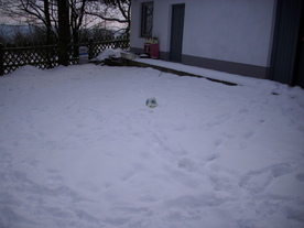 2010-02-01/DSCI5612.JPG