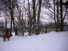 2010-02-01/DSCI5613.JPG