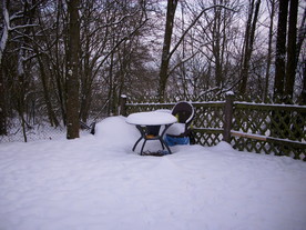 2010-02-01/DSCI5614.JPG