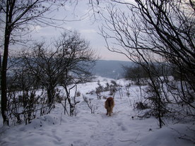 2010-02-01/DSCI5615.JPG