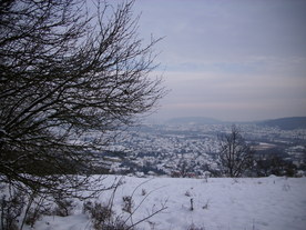 2010-02-01/DSCI5616.JPG