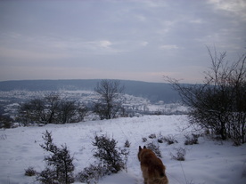 2010-02-01/DSCI5617.JPG