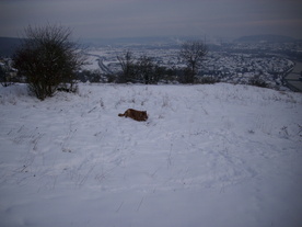 2010-02-01/DSCI5623.JPG