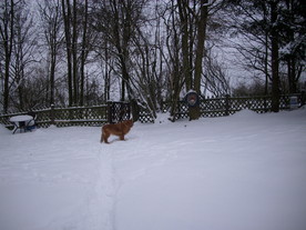 2010-02-01/DSCI5625.JPG