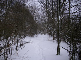 2010-02-01/DSCI5629.JPG