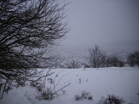 2010-02-01/DSCI5630.JPG
