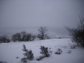 2010-02-01/DSCI5631.JPG