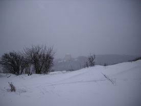 2010-02-01/DSCI5632.JPG