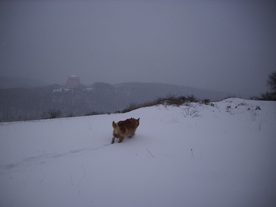 2010-02-01/DSCI5634.JPG