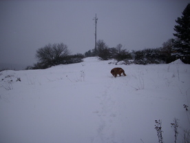 2010-02-01/DSCI5635.JPG