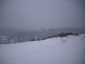 2010-02-01/DSCI5636.JPG
