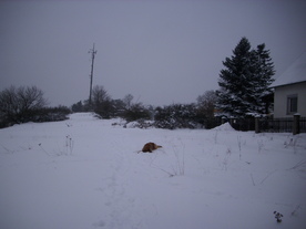 2010-02-01/DSCI5638.JPG