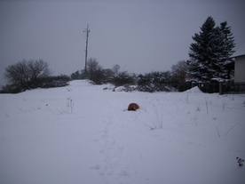 2010-02-01/DSCI5639.JPG