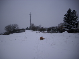 2010-02-01/DSCI5640.JPG