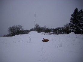 2010-02-01/DSCI5641.JPG