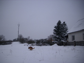 2010-02-01/DSCI5642.JPG