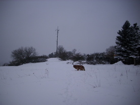 2010-02-01/DSCI5643.JPG