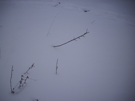 2010-02-01/DSCI5644.JPG